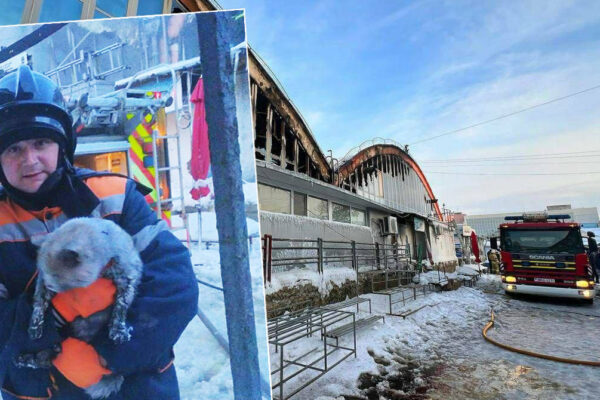 В Бендерах в результате пожара на рынке пострадал кот